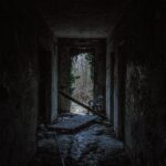 gwendal-cottin-j85t8FTaCcE-unsplash