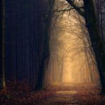 johannes-plenio-hvrpOmuMrAI-unsplash