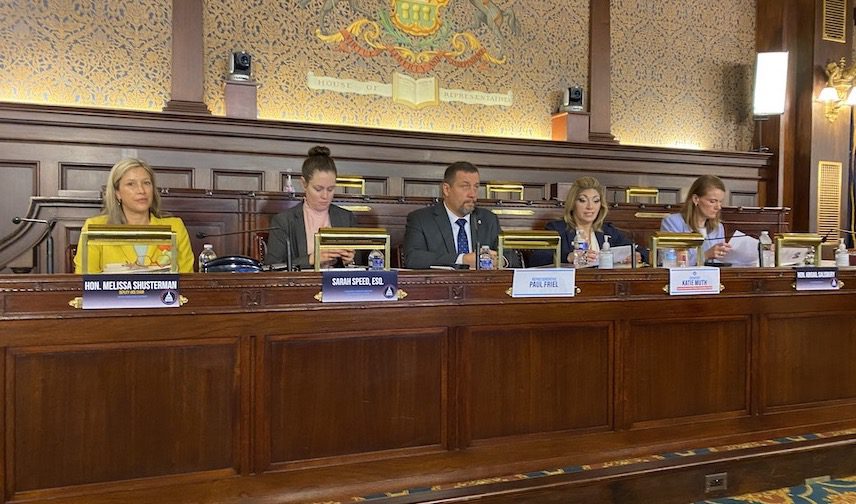 Democrat hearing on so-called "book banning"